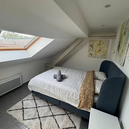 Cosy Au Centre De * Colmar